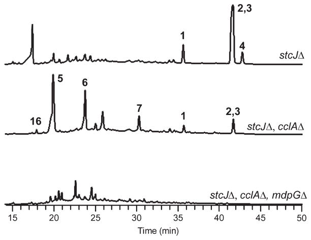 Figure 2