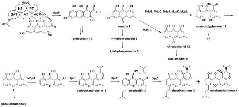 Figure 6