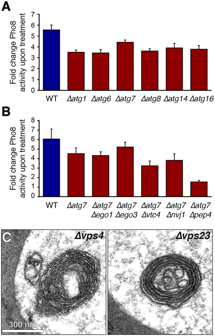 Fig. 6.