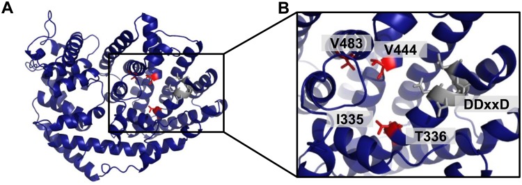 Figure 4