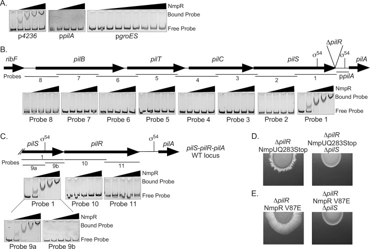 Fig 8