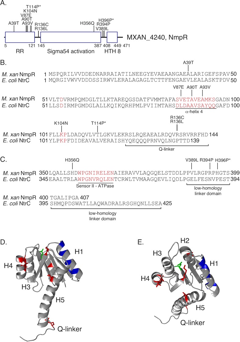 Fig 4