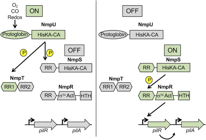 Fig 9