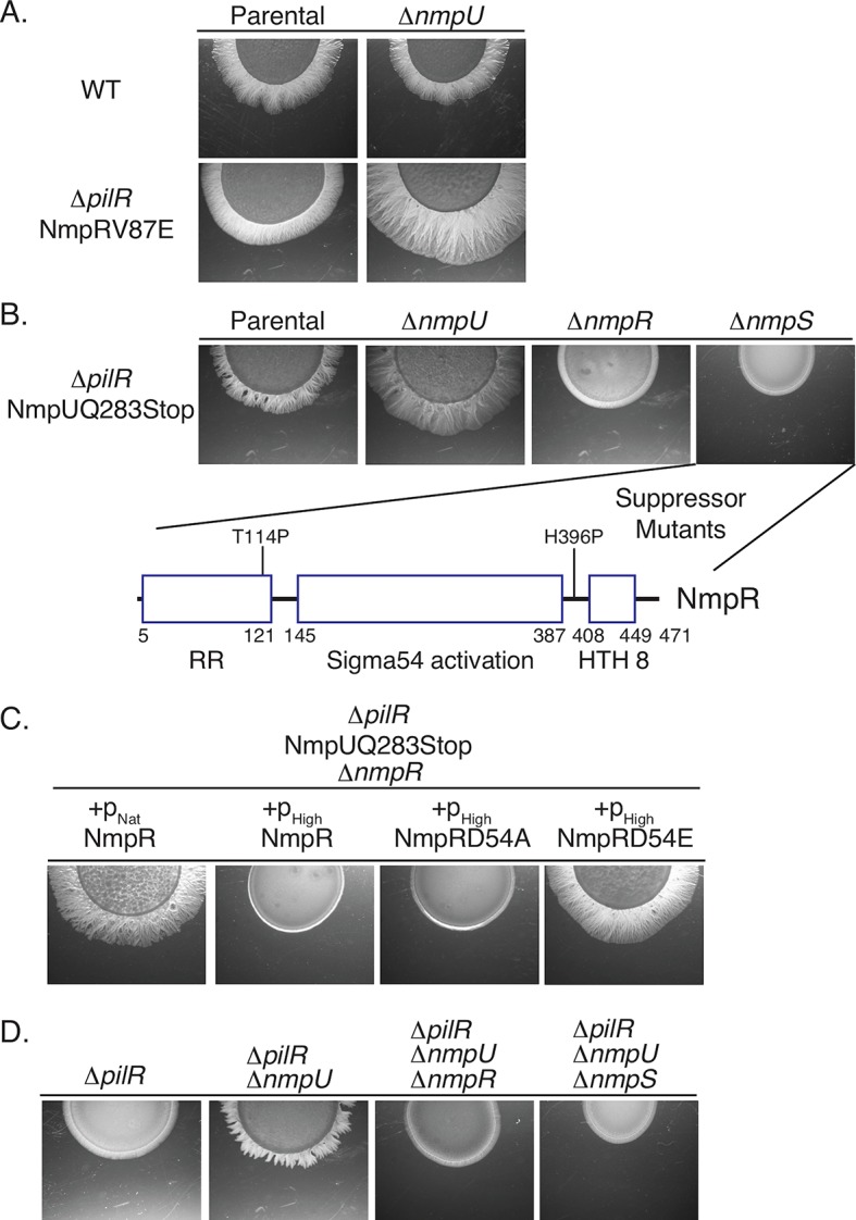 Fig 5