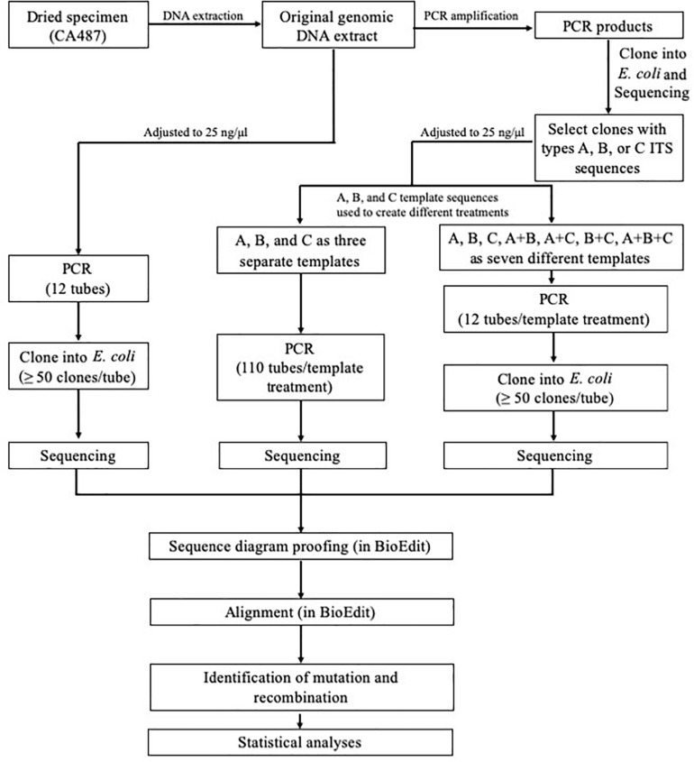 FIGURE 1