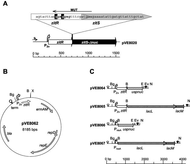 FIG. 1.