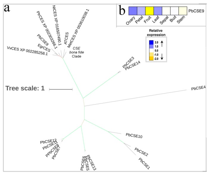 Figure 7