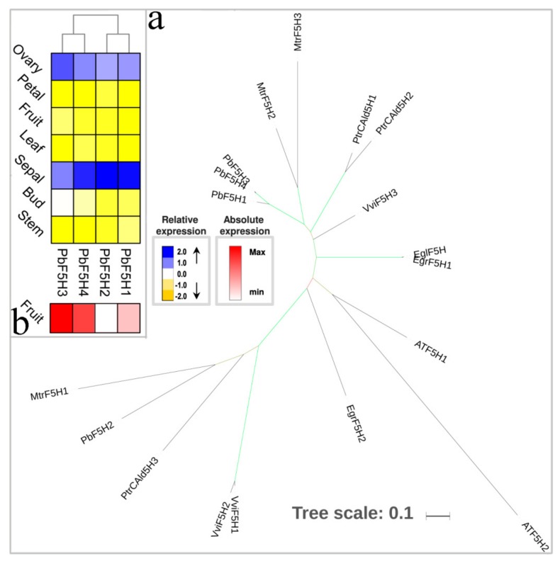 Figure 4