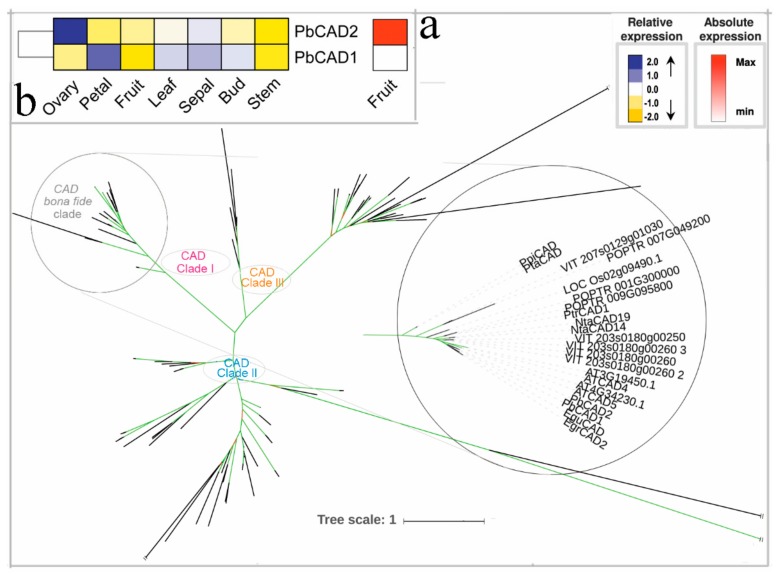 Figure 11