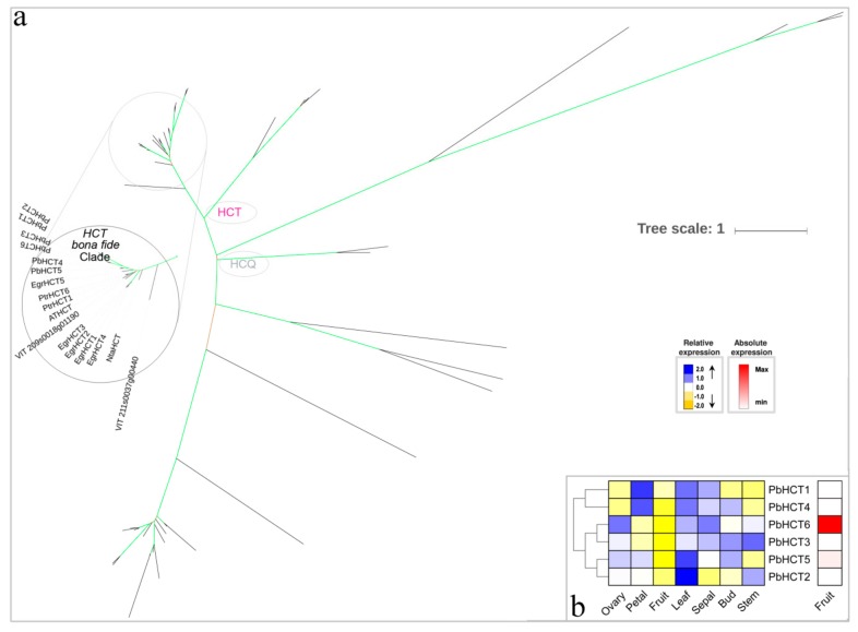 Figure 6