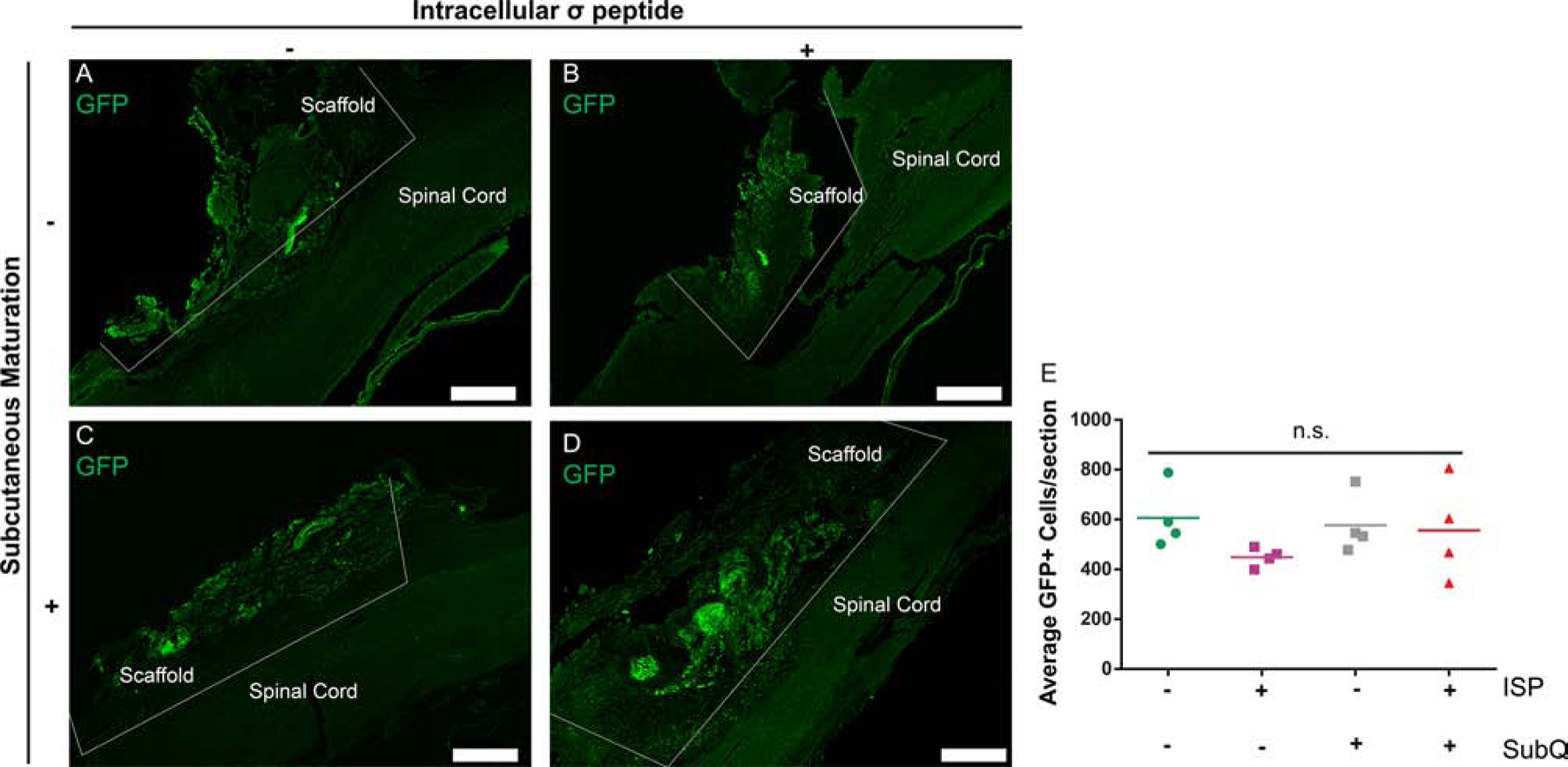 Figure 4: