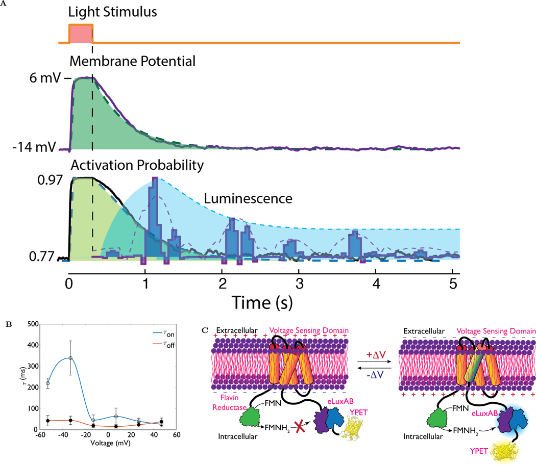 Figure 3: