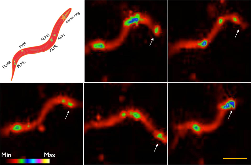 Figure 5: