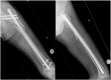 Fig. 8a