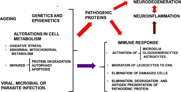 Fig. (1)