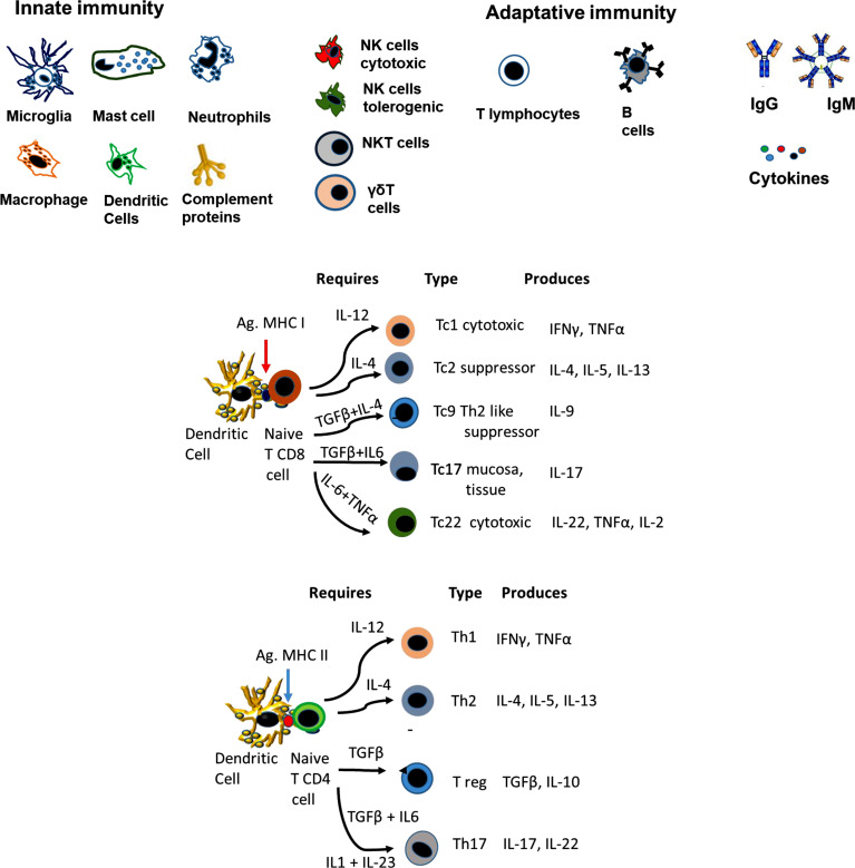 Fig. (3)