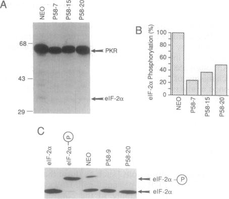 graphic file with name pnas01132-0188-a.jpg