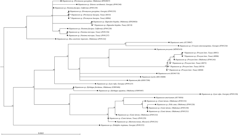 Fig. 2