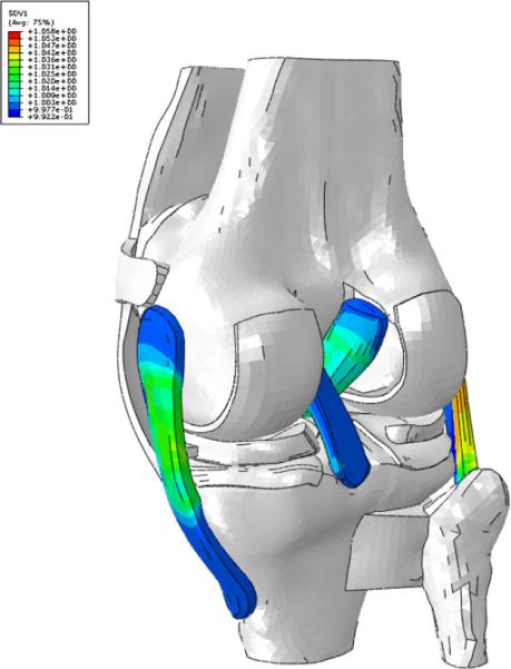 Figure B1