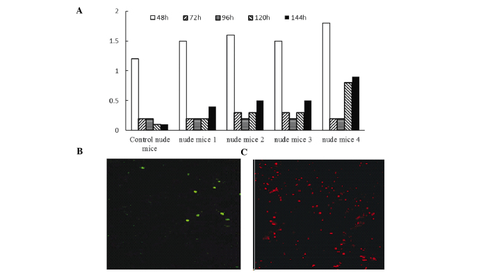 Figure 6