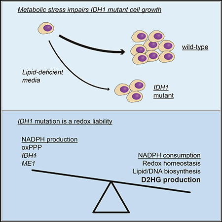 graphic file with name nihms-1511532-f0001.jpg
