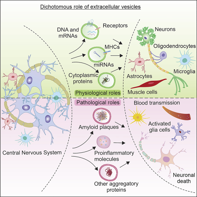 graphic file with name fx1.jpg