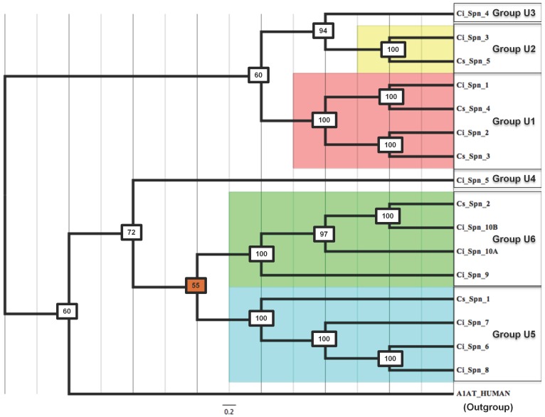 Fig 3