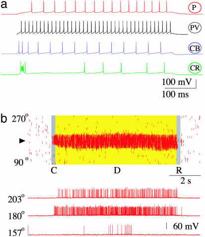 Fig. 2.