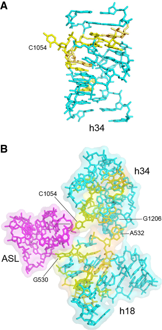 FIGURE 12.