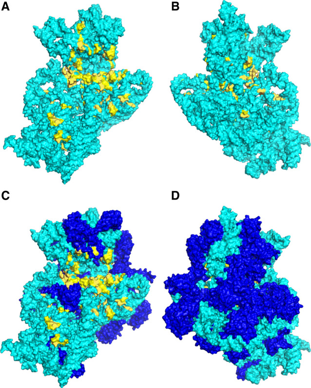 FIGURE 5.