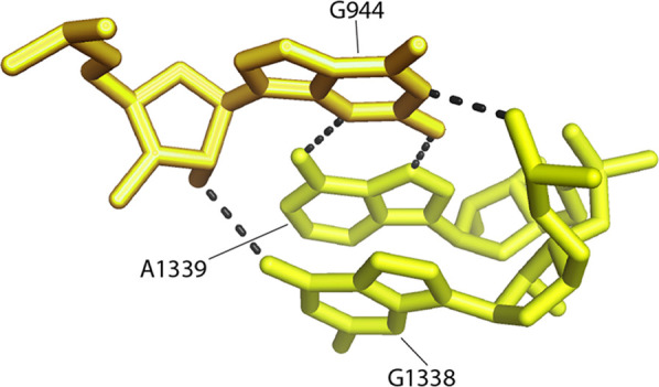 FIGURE 16.