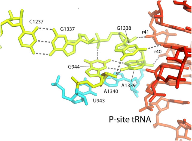 FIGURE 15.