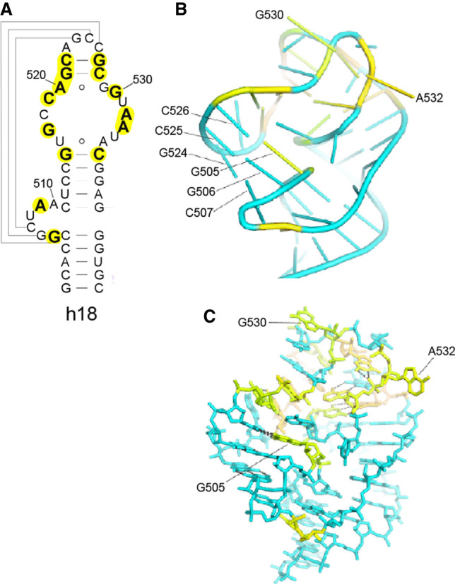 FIGURE 9.