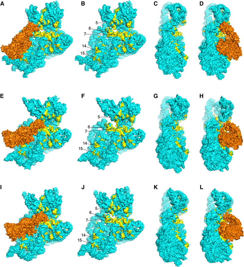 FIGURE 17.