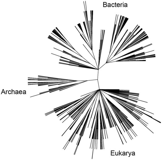 FIGURE 1.