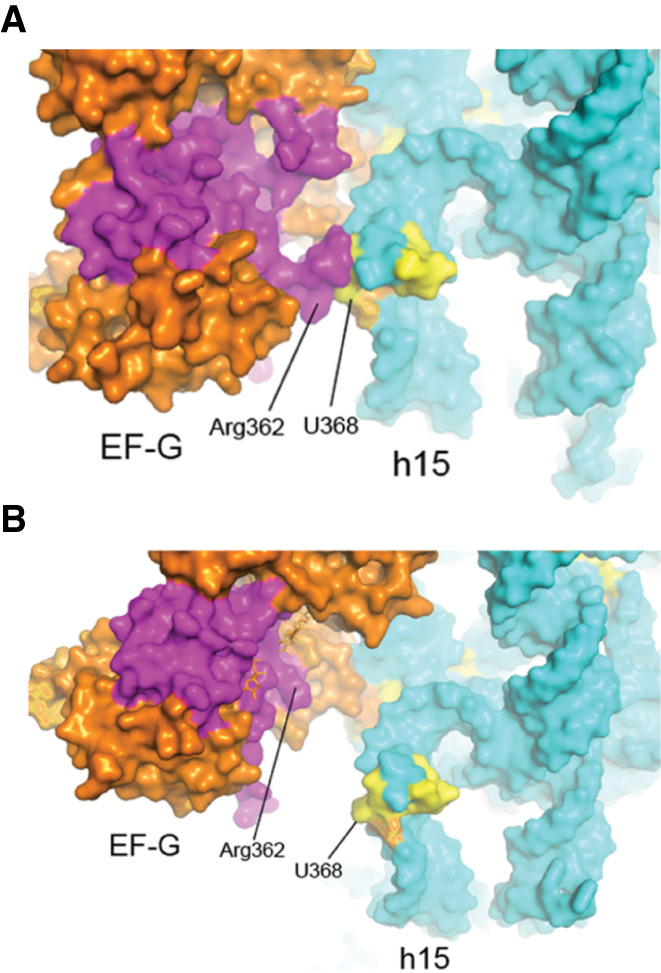 FIGURE 18.