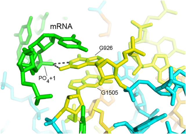 FIGURE 13.