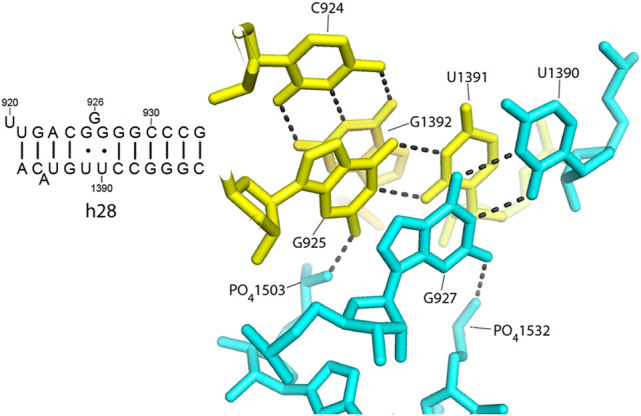 FIGURE 14.