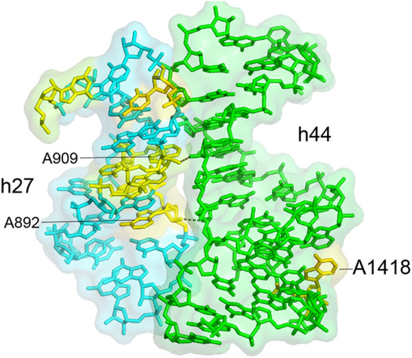 FIGURE 21.