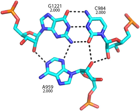 FIGURE 25.