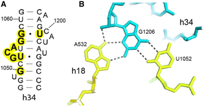 FIGURE 10.