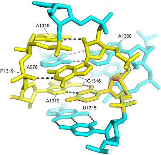 FIGURE 23.