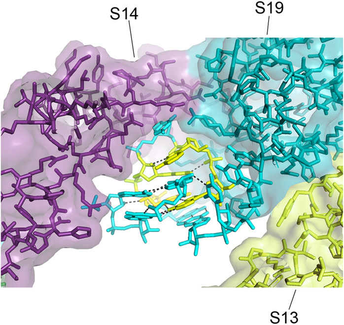 FIGURE 24.