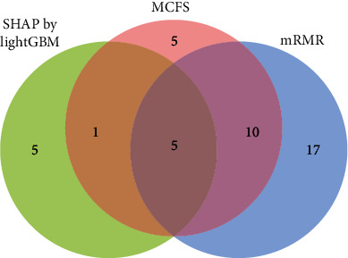 Figure 6