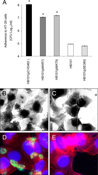 FIG. 6.