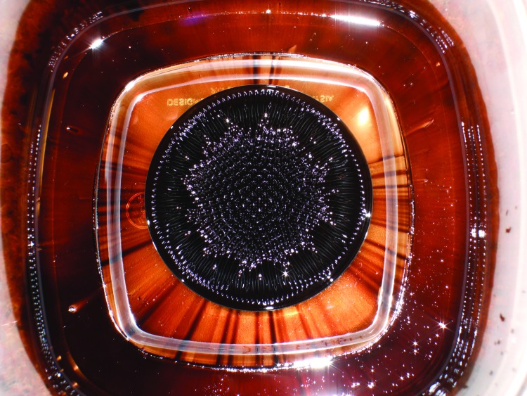 Figure 8.