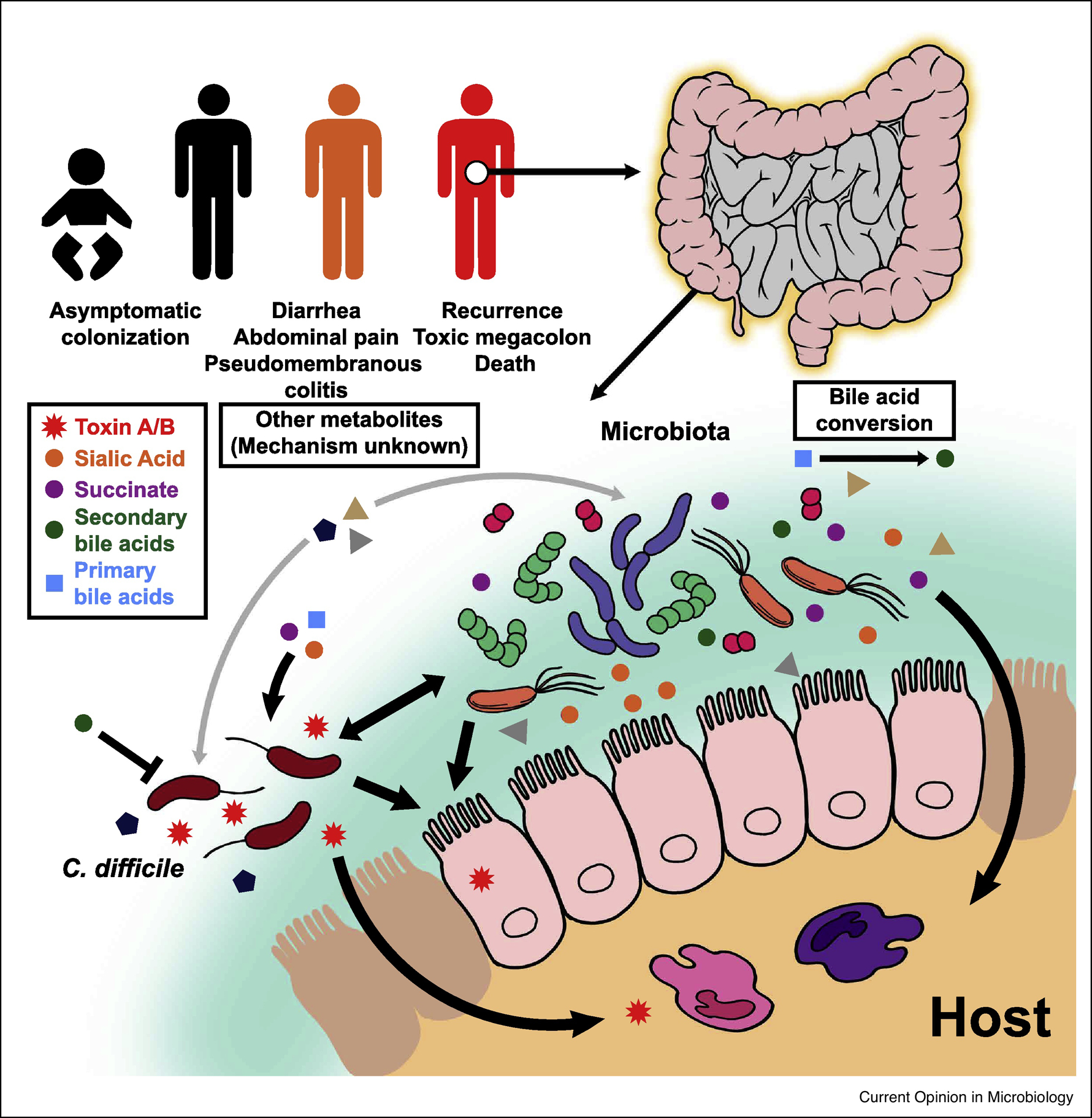 Figure 1: