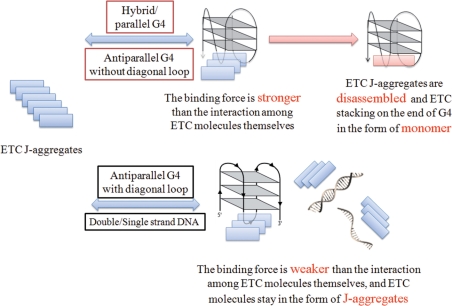 Figure 11.