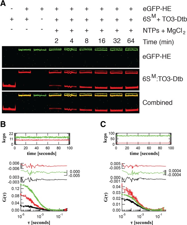 FIGURE 4.