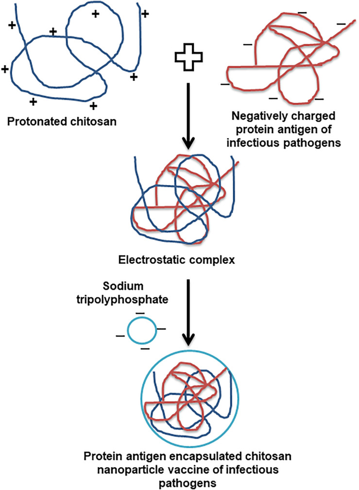 FIGURE 1